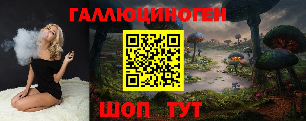 Кохма  Псилоцибиновые грибы Psilocybine cubensis  Вход с VPN 