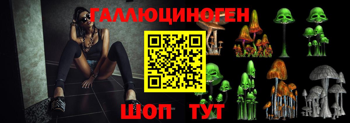 Галлюциногенные грибы GOLDEN TEACHER Кохма